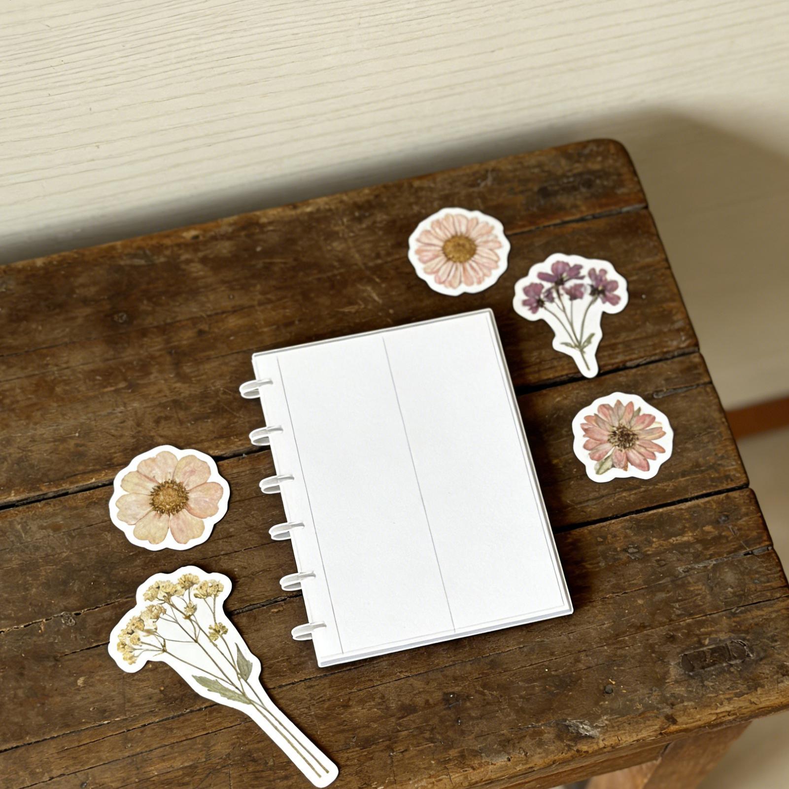 Album Klip Foto Strip Geser, A - Binding Comb Plastic ulasan dan harga